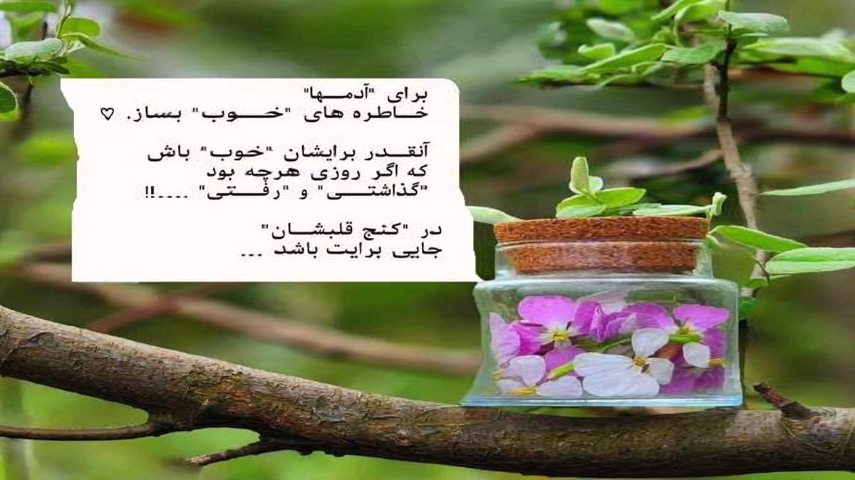  نوک ممه حرمیه
